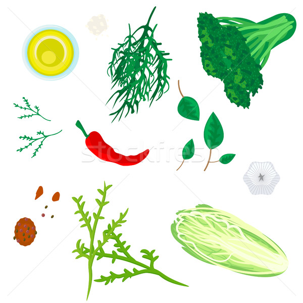 Növényzet fűszer gyógynövények öntet káposzta saláta Stock fotó © yopixart