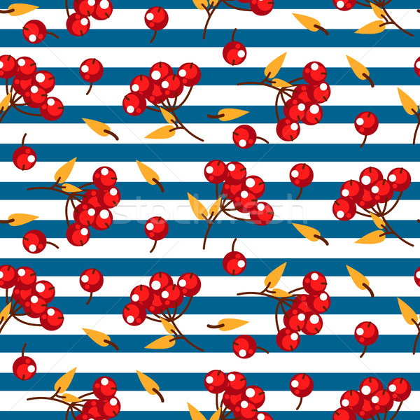 Rowan berry and leaves seamless striped vector pattern. Stock photo © yopixart