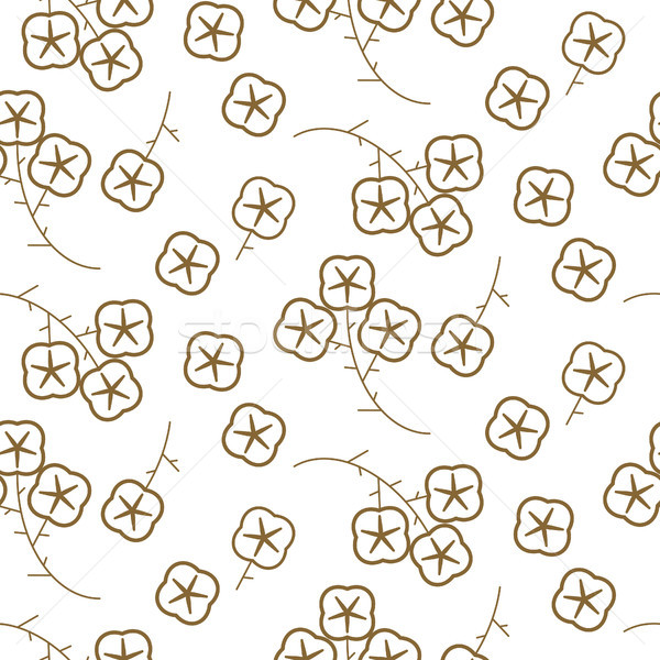 Cotton plant gold line floral seamless pattern. Stock photo © yopixart