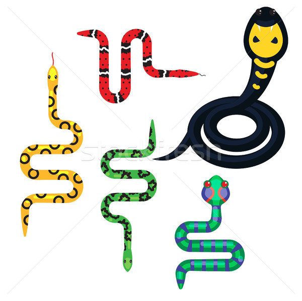 Stock photo: Snake cartoon vector set illustration on white.