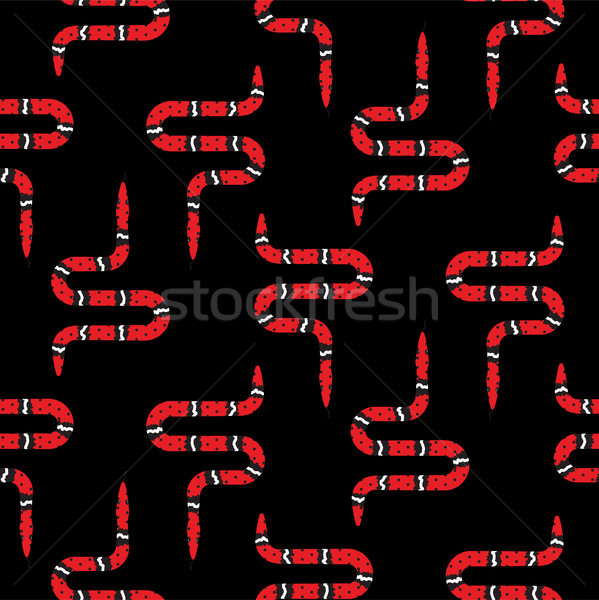 красный змеи черный вектора змея Сток-фото © yopixart