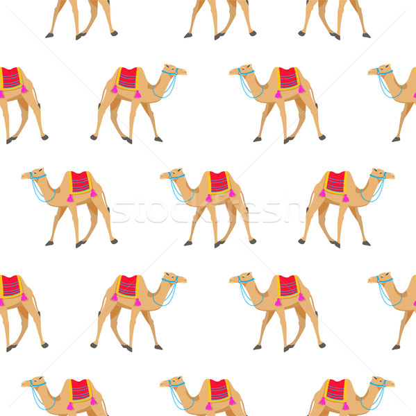 Camel cartoon vector seamless pattern on white. Stock photo © yopixart