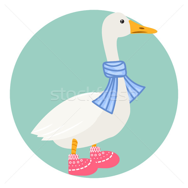 Cartoon duck in scarf isolated vector illustration. Stock photo © yopixart