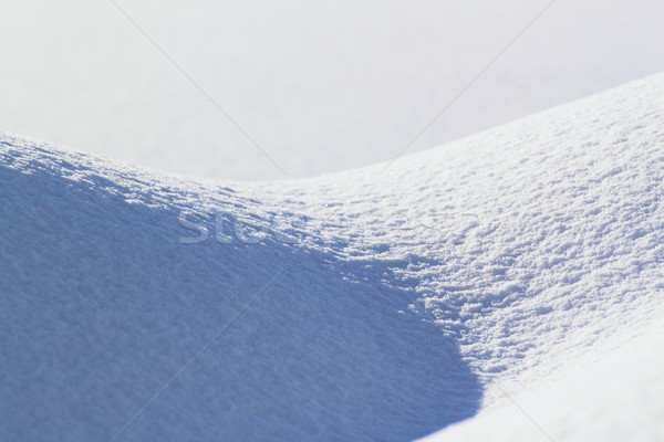 snow field Stock photo © yoshiyayo
