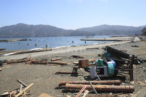 The great east japan earthquake