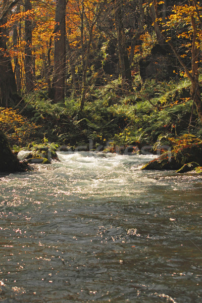 Stock photo: Autumn Colors of Oirase River
