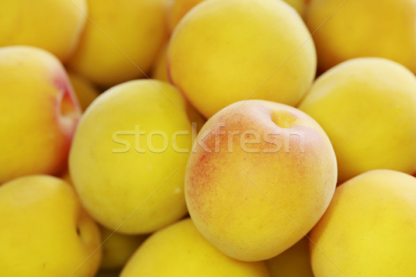 Dojrzały owoce japoński Brzoskwinia żółty Zdjęcia stock © yoshiyayo