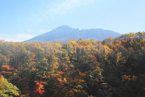  colorful  leaves and Mt.Iwate Stock photo © yoshiyayo