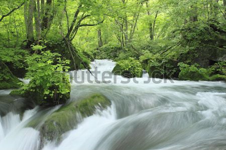 ősz színek folyó természet tájkép levél Stock fotó © yoshiyayo