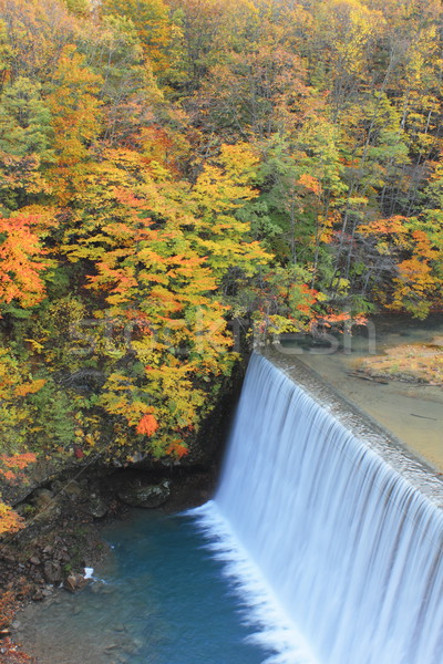  colorful  leaves and waterfall Stock photo © yoshiyayo