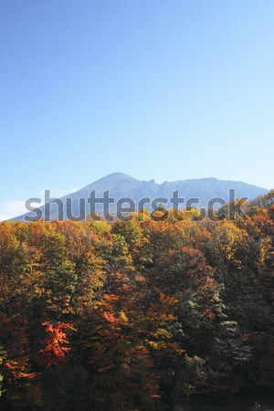 colorful  leaves and Mt.Iwate Stock photo © yoshiyayo