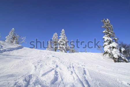 ski run Stock photo © yoshiyayo