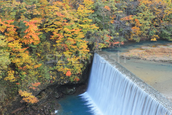  colorful  leaves and waterfall Stock photo © yoshiyayo