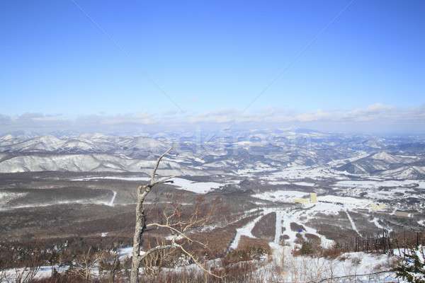 ski run Stock photo © yoshiyayo