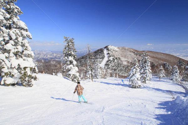 ski run Stock photo © yoshiyayo