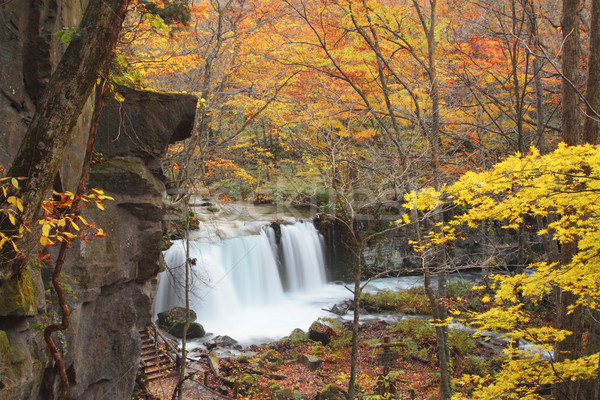 Jesienią kolory rzeki charakter krajobraz liści Zdjęcia stock © yoshiyayo
