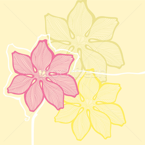 Decoratief bloemen gele bloemen voorjaar natuur tuin Stockfoto © yulia_mayevska