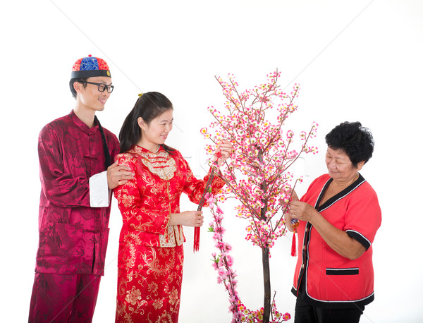 chinese new year family Stock photo © yuliang11