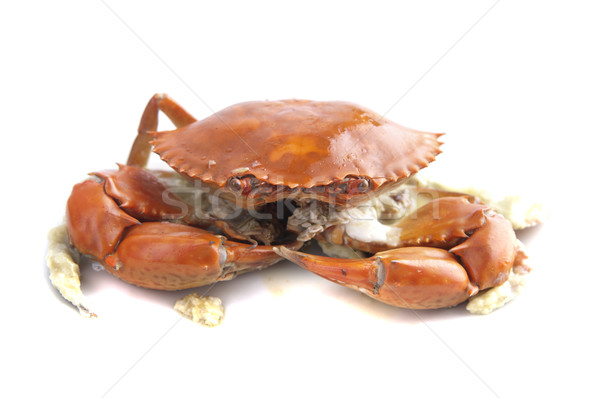 cooked crab Stock photo © yuliang11