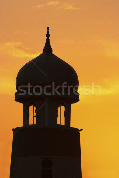 silhouette of a mosque  Stock photo © yuliang11