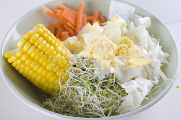 vegetable salad Stock photo © yuliang11