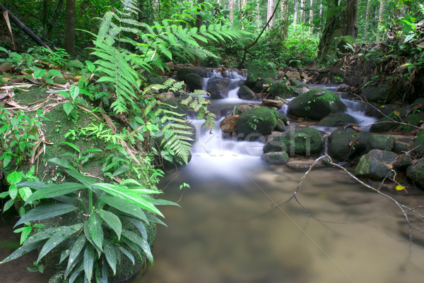 Cascata naturale verde acqua foresta sfondo Foto d'archivio © yuliang11