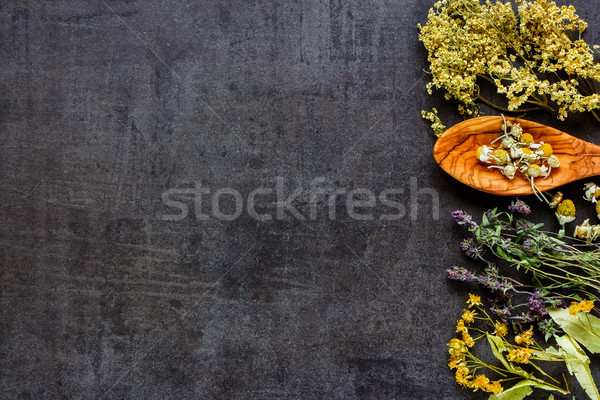 Vad gyógyító gyógynövények gyógynövények tiszta eszik Stock fotó © YuliyaGontar