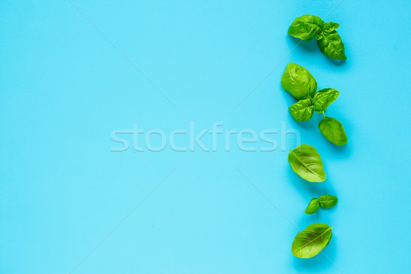 Stock photo: Fresh basil leaves