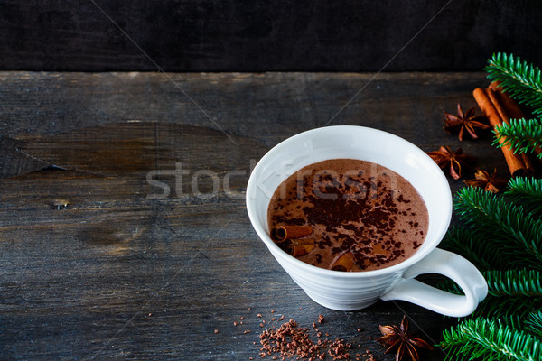 Delicious hot chocolate Stock photo © YuliyaGontar