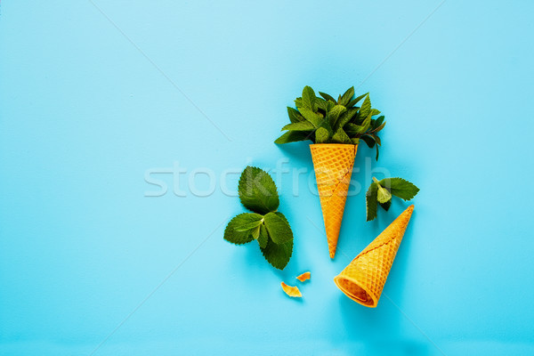 Cone de doce waffle fresco folhas Foto stock © YuliyaGontar
