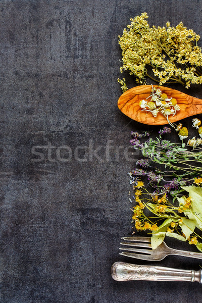 Vad gyógyító gyógynövények gyógynövények tiszta eszik Stock fotó © YuliyaGontar