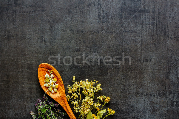 Sauvage guérison herbes propre manger paleo Photo stock © YuliyaGontar