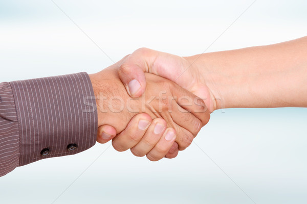 Saluto uomini stringe la mano business immagine blu Foto d'archivio © yupiramos