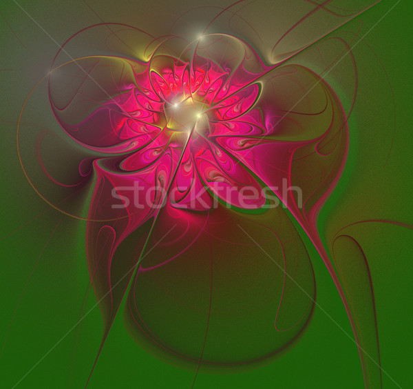 illustration background fractal shining flower on a green backgr Stock photo © yurkina