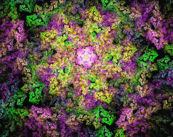 カラフル フラクタル 自然 現象 数学の セット ストックフォト © yurkina