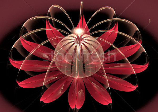 Illustration rot Blume groß transparent Stock foto © yurkina