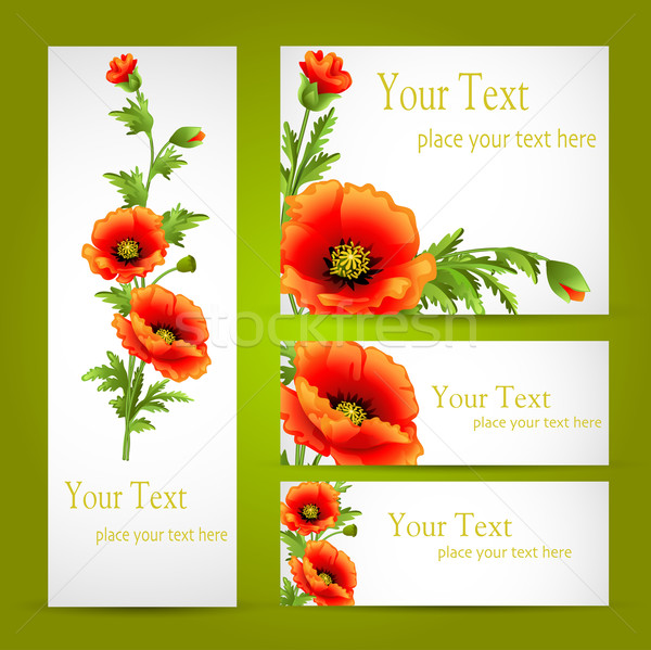  a set of cards with poppy flowers Stock photo © yurkina