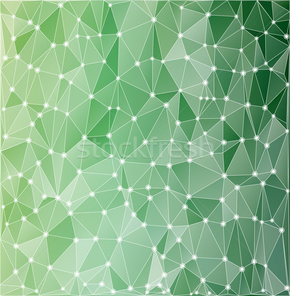 background polygonal green with white contours Stock photo © yurkina