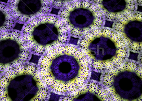 illustration of a fractal background with floral lace ornament Stock photo © yurkina