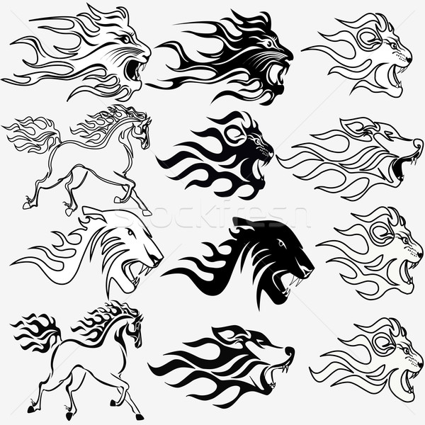 Set grafic tatuaje leu lup panteră Imagine de stoc © yurkina