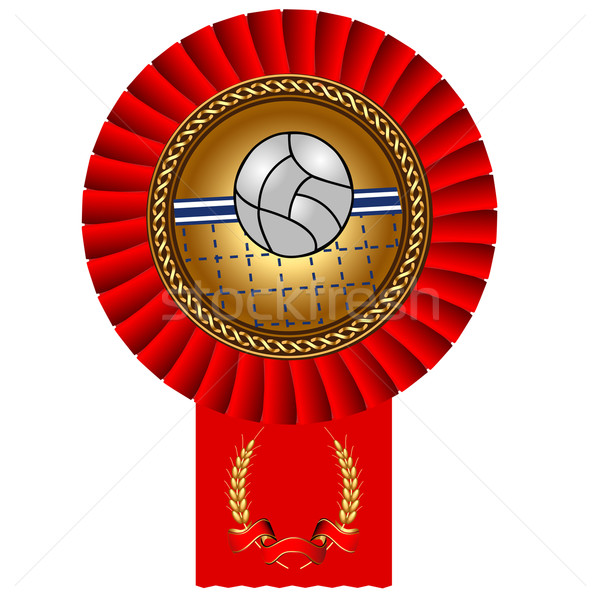 Stockfoto: Volleybal · bal · gouden · medaille · bureaucratie · illustratie · computer