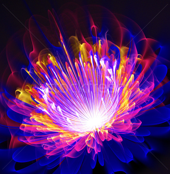 Illustration fractal fantastique lumineuses brillant fleur Photo stock © yurkina