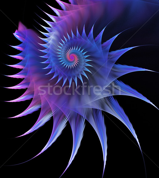 illustration of a fractal horned sea shell Stock photo © yurkina