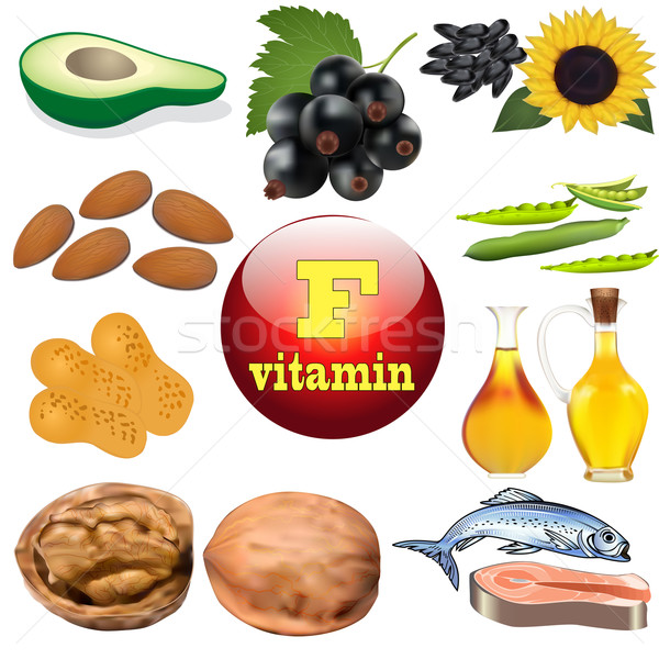 Vitamin tartalom növény állat termékek illusztráció Stock fotó © yurkina
