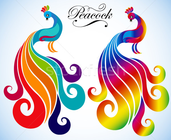 illustration set of decorative peacock for design Stock photo © yurkina
