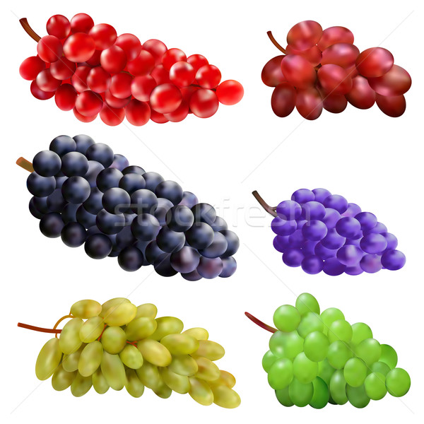  set of different varieties of grapes Stock photo © yurkina