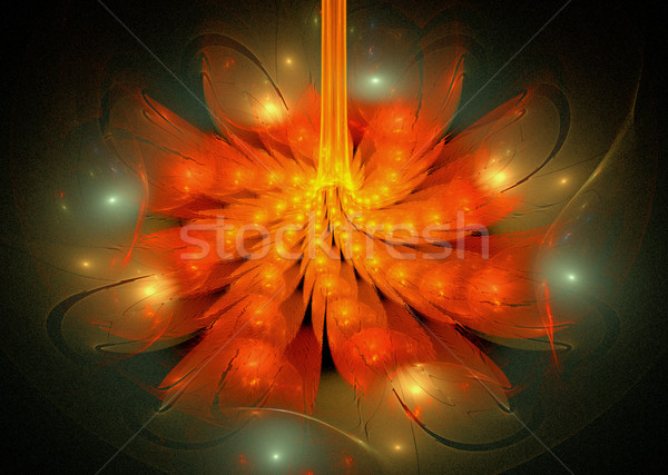 Illusztráció fraktál fényes fantázia virág absztrakt Stock fotó © yurkina
