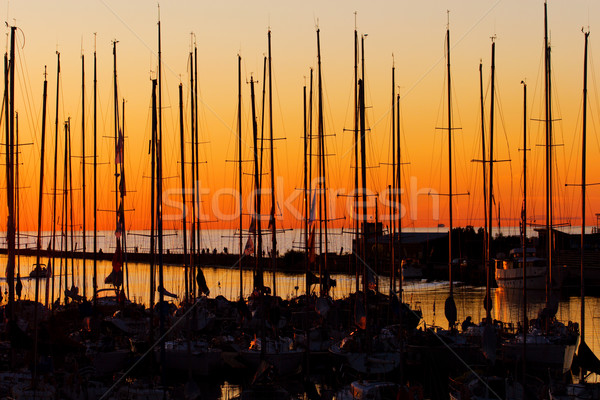 Sonnenuntergang Hafen Tallinn Estland Himmel Sport Stock foto © yurok