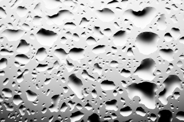 Wassertropfen monochrome Wassertropfen Glas Stock foto © yurok