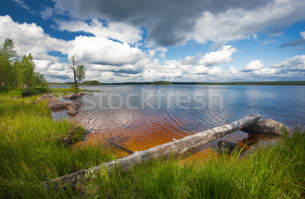 Sommer Szene Finnland See Ufer Wandern Stock foto © yurok